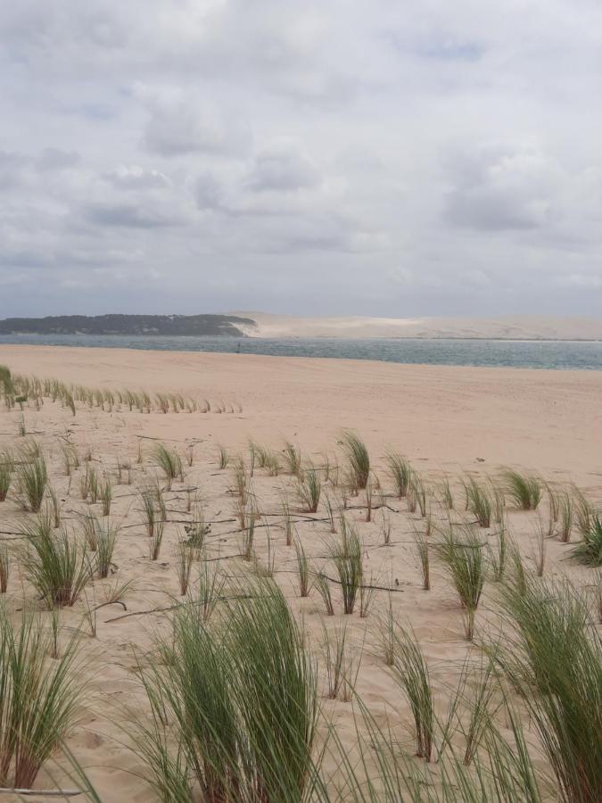 Dune La Teste-de-Buch Exteriör bild
